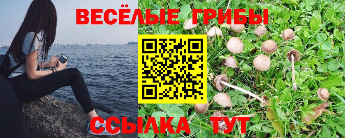 Гурьевск  Галлюциногенные грибы ЛСД  Вход с VPN 