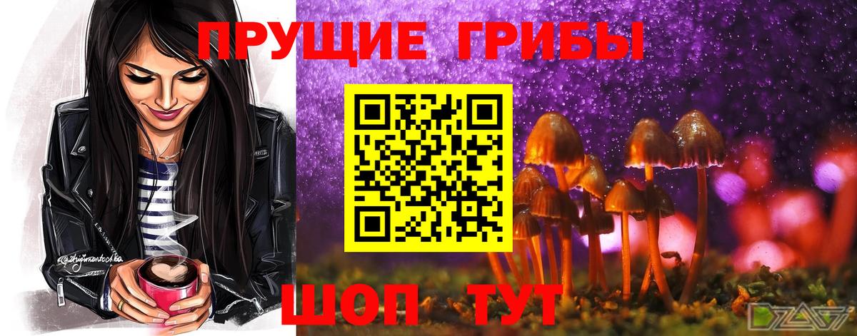 Галлюциногенные грибы Psilocybine cubensis Гурьевск